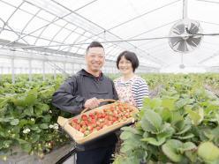 紀の川アグリカレッジ　～和歌山県でイチゴ農家を目指す農業研修生募集～