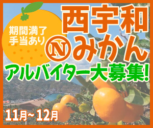 11月～12月みかん短期アルバイター大募集！