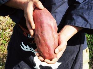 株式会社鹿吉【加工部門】