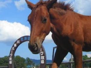 川湯パーク牧場