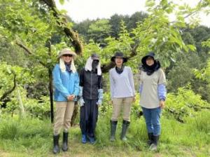 西吉野選果場　柿の摘蕾短期アルバイト募集