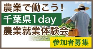 千葉県就業体験会