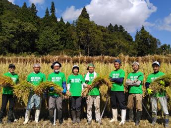 米どころ魚沼★きれいな自然の中で、日本一のおいしいお米を作りましょう【有機JAS認証米】有機栽培・無農薬でこだわりのお米を作っています