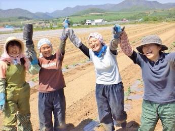 JAふらのグループ　株式会社アグリプラン 北海道 農作業ヘルパー