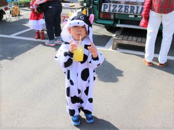 酪農も肉牛生産も学べる牧場☆ 自分のペースでしっかりと牛と向き合えます 牛好きの方お待ちしています！ ◎生活面もバックアップ！（住宅手当支給＆車貸与あり）