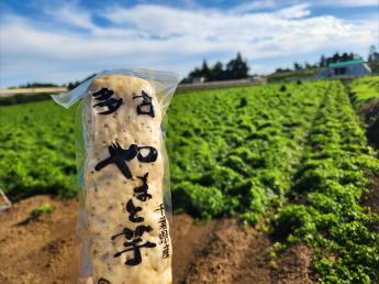 全国有数の大和芋の産地で大和芋の収穫、出荷の仕事のお手伝いをお願いします！ ◎通勤できる方大歓迎◎