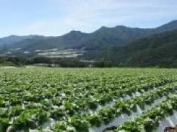 =限定1名募集=緑と土の匂い、吹き抜ける風… 都会から少し離れて未知の世界で農業！【手当充実♪】