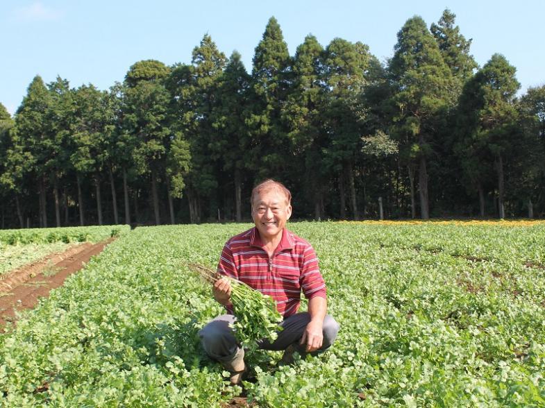 消費者の方に喜んでいただける野菜をお届けするため、そして、農業を次世代に繋げていくために、共に農業で頑張ってみませんか? ☆未経験の方大歓迎です!