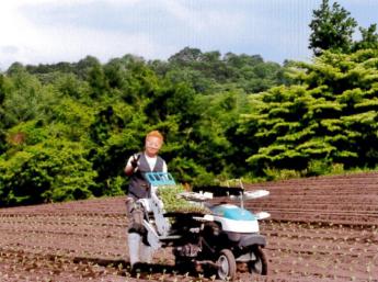 【寮費無料♪3食・食事付き】浅間山の麓、群馬県嬬恋村で高原野菜の収穫のお手伝いです♪