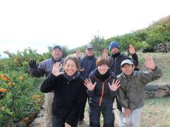 有限会社井上誠耕園
