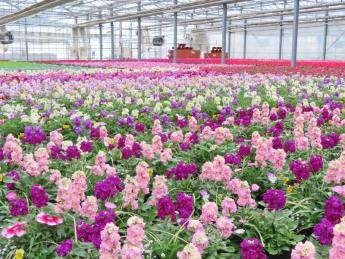 農業の持つ魅力・可能性を、たくさんの人へ伝えたい！ 最先端の農学ノウハウとIT技術を駆使した「苗づくり」で日本の農業を支えています！ 西日本屈指の生産拠点で、ゼロから新しいキャリアを描きませんか？