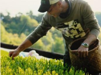 どこか懐かしい日本の里山でお茶の仕事のお手伝いをしませんか？♪長期アルバイトは農繁期は畑の『司令塔』に、短期アルバイトはこれからの時期山添村でしか経験できない貴重な体験があなたを待っています♪