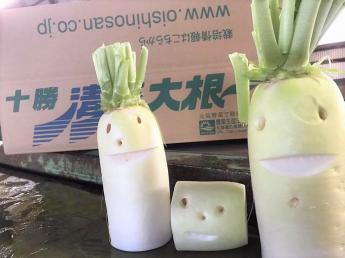 ＼時給1,200円★期間限定アルバイト募集／北海道・十勝で『清流だいこん』の選別アルバイト！☆個室寮あり・3食食事付き☆