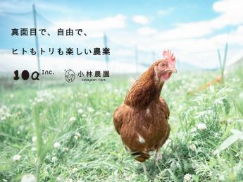 アニマルウェルフェアは、特別な取り組みではなく“あたりまえ”。 平飼い×放牧×自家配合飼料で、本質的な卵づくりを続けるテンアール株式会社。 『真面目で、自由で、ヒトもトリも楽しい農業』を合言葉に、命と向き合う現場で一緒に働く仲間を募集しています。