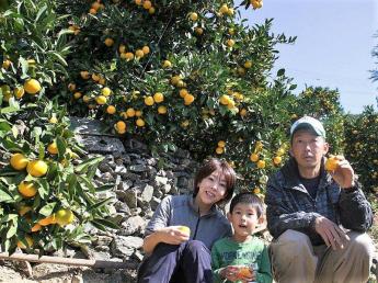 ＼HELP／＼カップル・ご夫婦歓迎／温州みかんの収穫のお手伝いをお願いします！