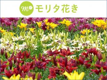 人生の節目に寄り添う「百合」を生産しています。無理なく社会とつながる一歩を、ここで踏み出しませんか？◎未経験でも大丈夫です ◎午前4時間、週3日～OK