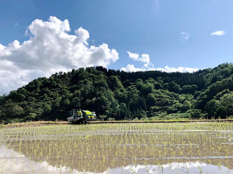 お米も野菜も空気もおいしい新潟で農業始めよう！ 未経験でも手厚くサポート　農地支援で独立も後押し！