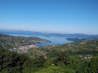 山﨑農園（山崎武）