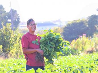 藤沢市で年間120品目以上の野菜づくりに取り組んでいます 【事業拡大に向け、新メンバー募集！】 都会の強みを最大限に生かし、たくさんの仲間と楽しみながら農業にチャレンジしませんか？