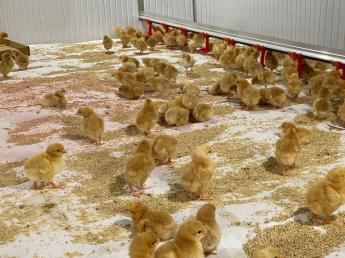 熊本県と大分県で4農場計32万羽の鶏を飼育しています。将来の幹部候補からアルバイト・パートまであなたに合った働き方を選んでいただけます♪＼未経験者歓迎／