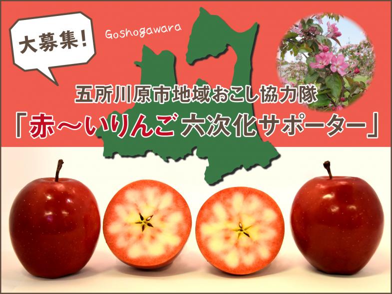 赤～いりんごが未来を拓く！ 六次化就農で地域を盛り上げよう ～地域の魅力度向上大作戦～