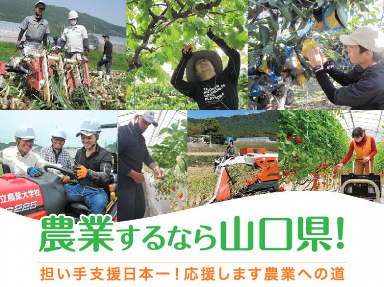 「担い手支援日本一」を掲げた、全国トップクラスの支援制度が魅力の山口県で、就農への一歩を踏み出してみませんか？