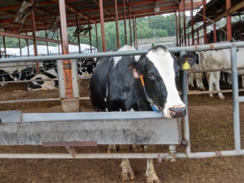 駅チカの便利な牧場です！「牛と人を成長させる」茨城県小美玉市のメガファームで私たちと一緒に牛を育てましょう！【社会保険完備】