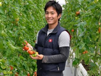 トマトで独立したい人でも、未経験の人でもOK！三重県で最高においしいトマトを作っています！最近は食用ほおずきも栽培しています。未経験の方、独立したい方大歓迎！