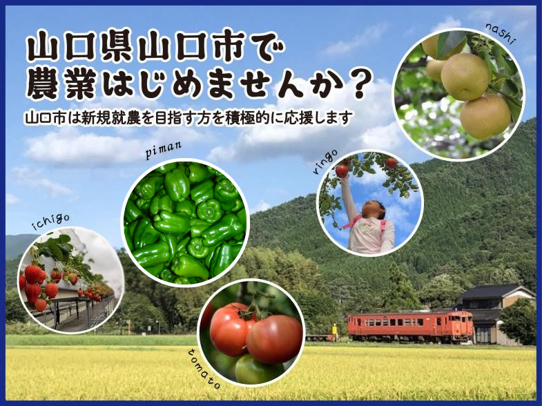 美しい海と山に囲まれた山口市で、充実したサポートを受けながら、農業をはじめませんか？