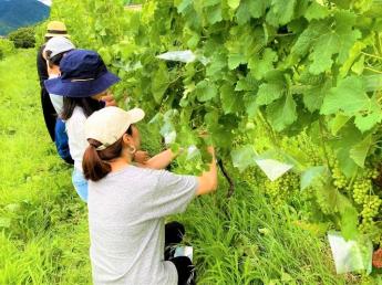 【年間休日108日】＼リーダー候補募集／ ワイン用葡萄の生産の仕事です。 生産以外の業務にもチャレンジできる環境です。
