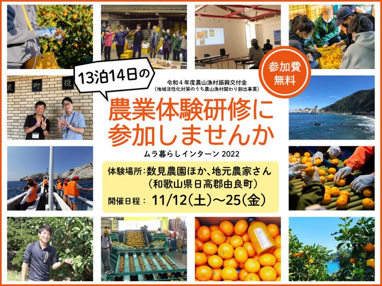 13泊14日で農業を知る！“日本のエーゲ海”と称される和歌山県由良町（ゆらちょう）で、みかん農家さん、野菜農家さんのもとで農業研修をしながら非日常を体験しませんか？
