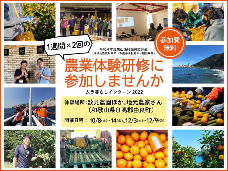 12泊14日で農業を知る！“日本のエーゲ海”と称される和歌山県由良町（ゆらちょう）で、みかん農家さん、野菜農家さんのもとで農業研修をしながら非日常を体験しませんか？