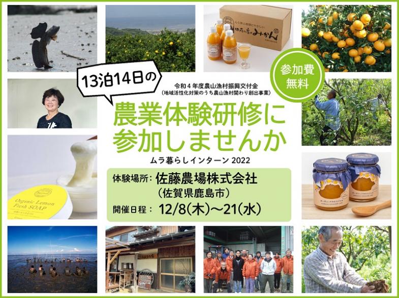 13泊14日で農業を知る！日本で最大級規模のみかん農家さんで有機農法を学びませんか？