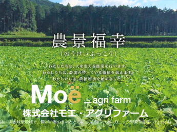 農福連携で美しい日本の原風景を守り、残していくために働きませんか？ どんな理由でも農業をやりたい気持ちを尊重します！