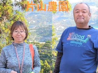 ＼11月初旬頃～12月15日頃まで／ 今年も美味しい川上みかんが実りました！ 丹精込めて作ったみかんを一緒に収穫していただける方大募集！ご夫婦・カップル大歓迎！