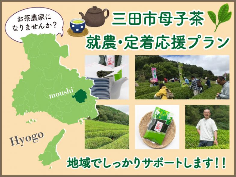兵庫県三田市母子地区で雇用就農をサポートします。 お茶の栽培～加工～販売まで、幅広く携わってみませんか？