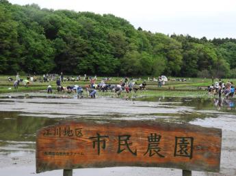 稲作を主軸に、千葉県野田市江川地区で日本の原風景を守っています。特別天然記念物であるコウノトリの飼育もできる環境