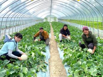 イオングループが営む農業法人の北海道の農場でメロンの栽培をしませんか？