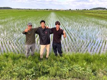 千葉県でダイナミックな稲作にチャレンジしませんか？一緒に農業を盛り上げていくチームの一員を募集します