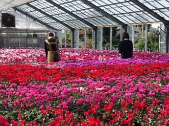 ＝国内有数の苗生産カンパニー＝ 創業77年の老舗が誇る「技術」を学び 日本の農業界を支える人財になりませんか？【年間休日105日】
