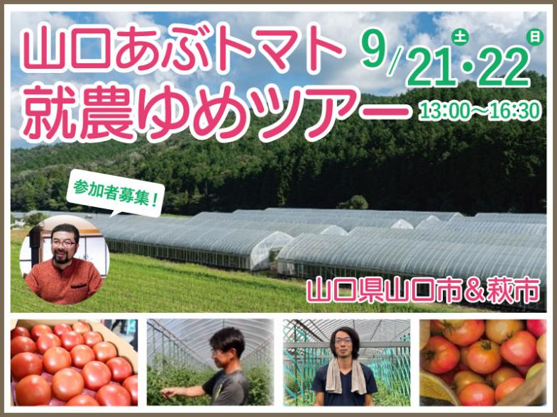 「山口あぶトマト」就農ゆめツアー参加者募集　～１泊２日の農作業体験ツアー～