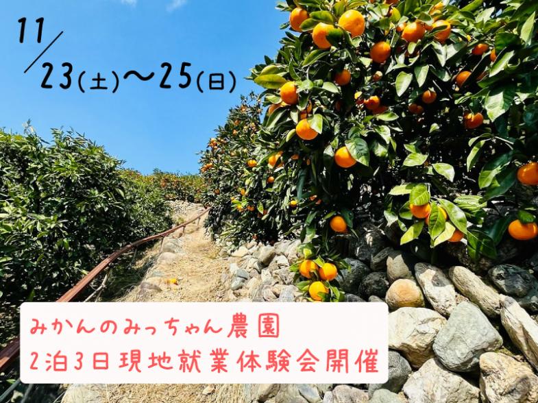 2泊3日の就業体験会開催！ まずは現場を「見て」、話を「聞いて」、実際に「動いて」、農業の可能性を「感じて」みませんか？