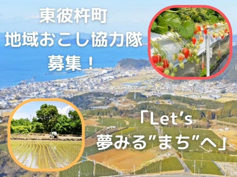 長崎県東彼杵町地域おこし協力隊募集（いちご栽培）