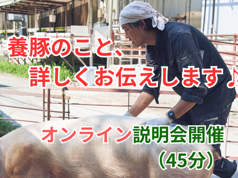 養豚の仕事について、詳しくご紹介いたします！ 「動物が好き」「豚が好き」 「やりがいのある仕事に就きたい」という方、ご参加をお待ちしています！