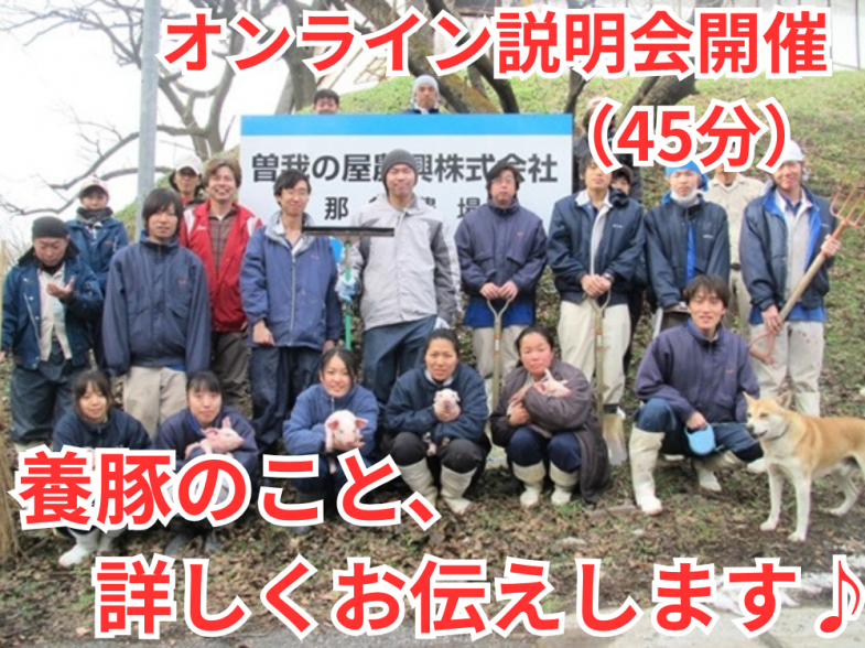 養豚の仕事について、詳しくご紹介いたします！ 「動物が好き」「豚が好き」 「やりがいのある仕事に就きたい」という方、ご参加をお待ちしています！