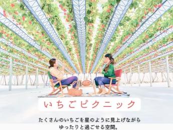 淡路島で農業の面白さ、感じてみませんか？ 平日は農業、週末はカフェ＆レストラン 6月末までの期間限定アルバイト大募集！（3週間～期間は相談OK）