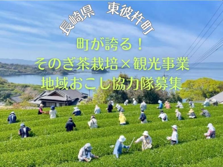 ＜町が誇る「そのぎ茶」の生産後継者を目指せる地域おこし協力隊募集＞お茶を活かした観光事業も行っています！企画が好きな方、あなたの好きを活かして町を面白くしていきましょう