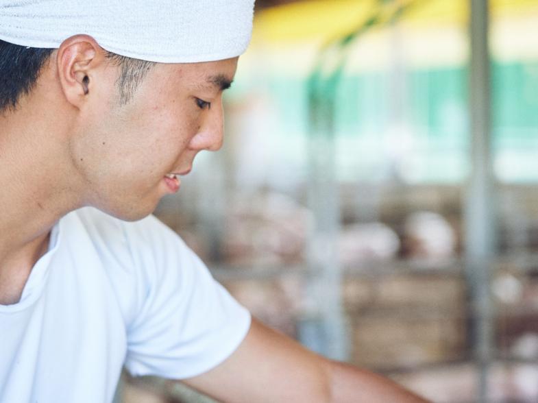 養豚の仕事の面白さを見つけにいらっしゃいませんか？ 1日半の農場見学＆インターン開催