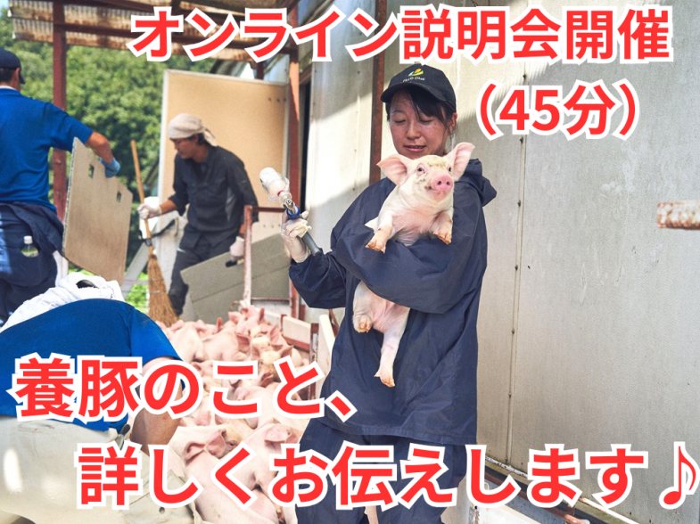 養豚の仕事について、詳しくご紹介いたします！ 「動物が好き」「豚が好き」 「やりがいのある仕事に就きたい」という方、ご参加をお待ちしています！