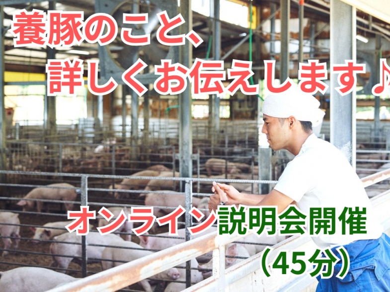 養豚の仕事について、詳しくご紹介いたします！ 「動物が好き」「豚が好き」 「やりがいのある仕事に就きたい」という方、ご参加をお待ちしています！